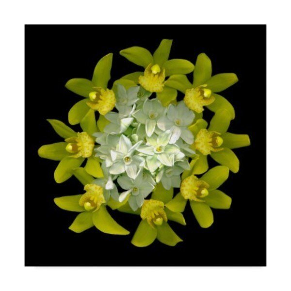Susan S. Barmon 'Paperwhites And Orchids 2' Canvas Art, 35x35, Trademark Fine Art, Mfr#: ALI34335-C3535GG